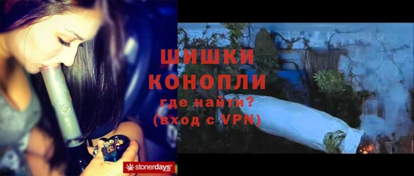стаф Пестово
