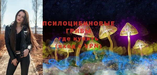 стафф Волосово